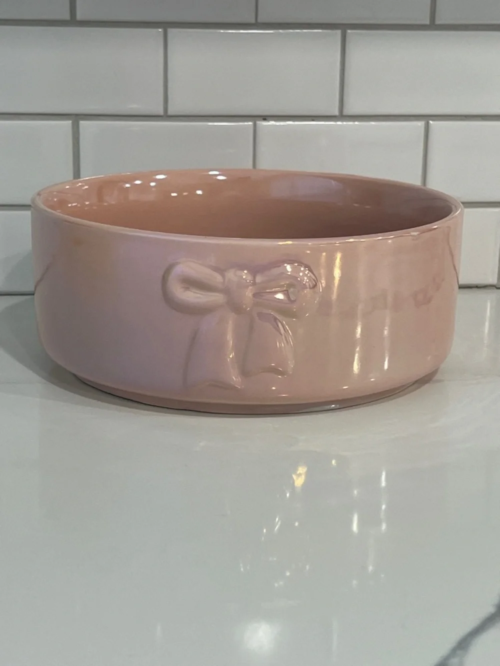Cute.🐾🎀 DOGS. BOWL🎀🐾